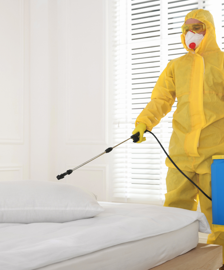 Professional Pest Control Team in Frewville